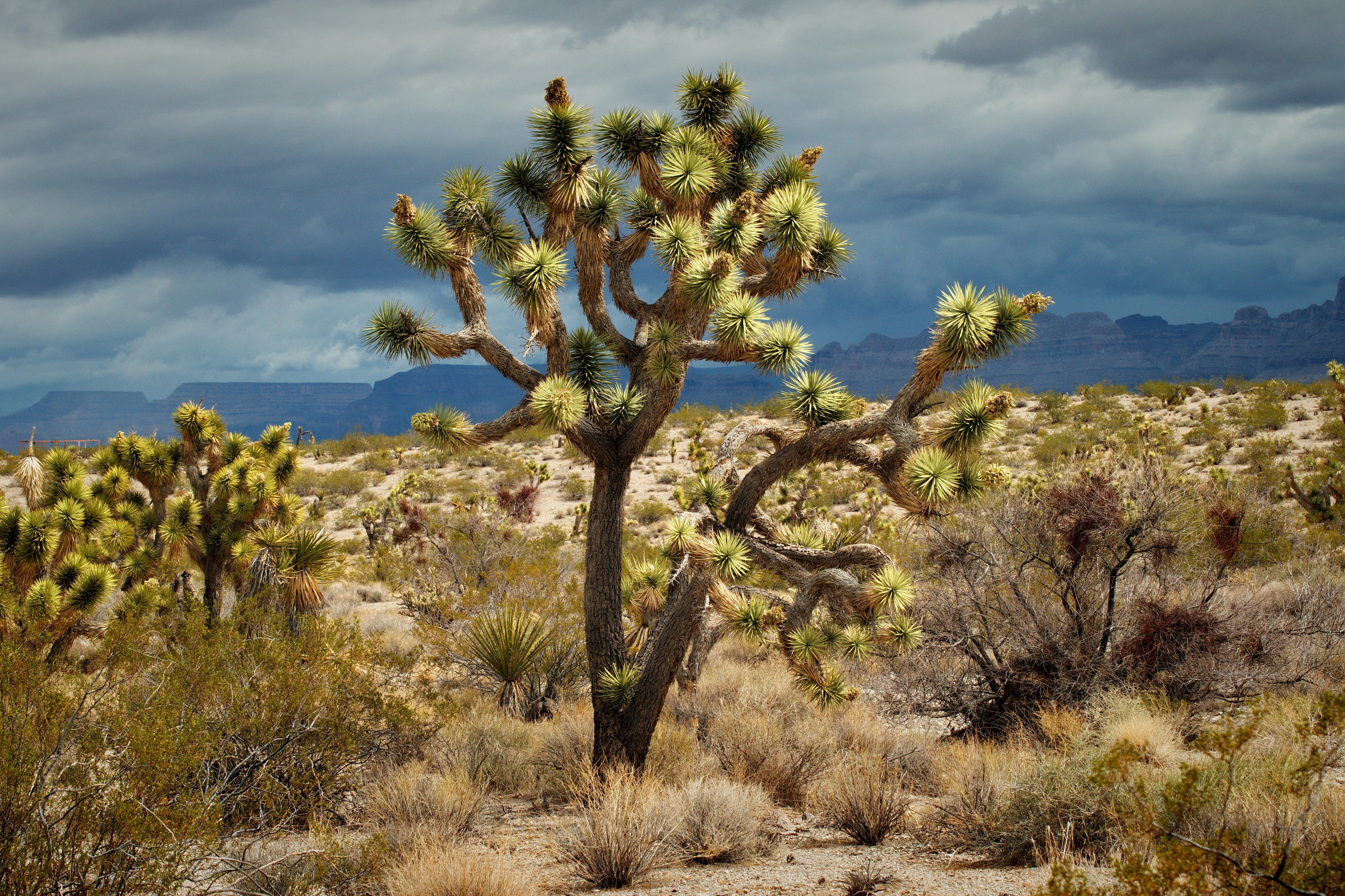 Retreat: Mental Armor