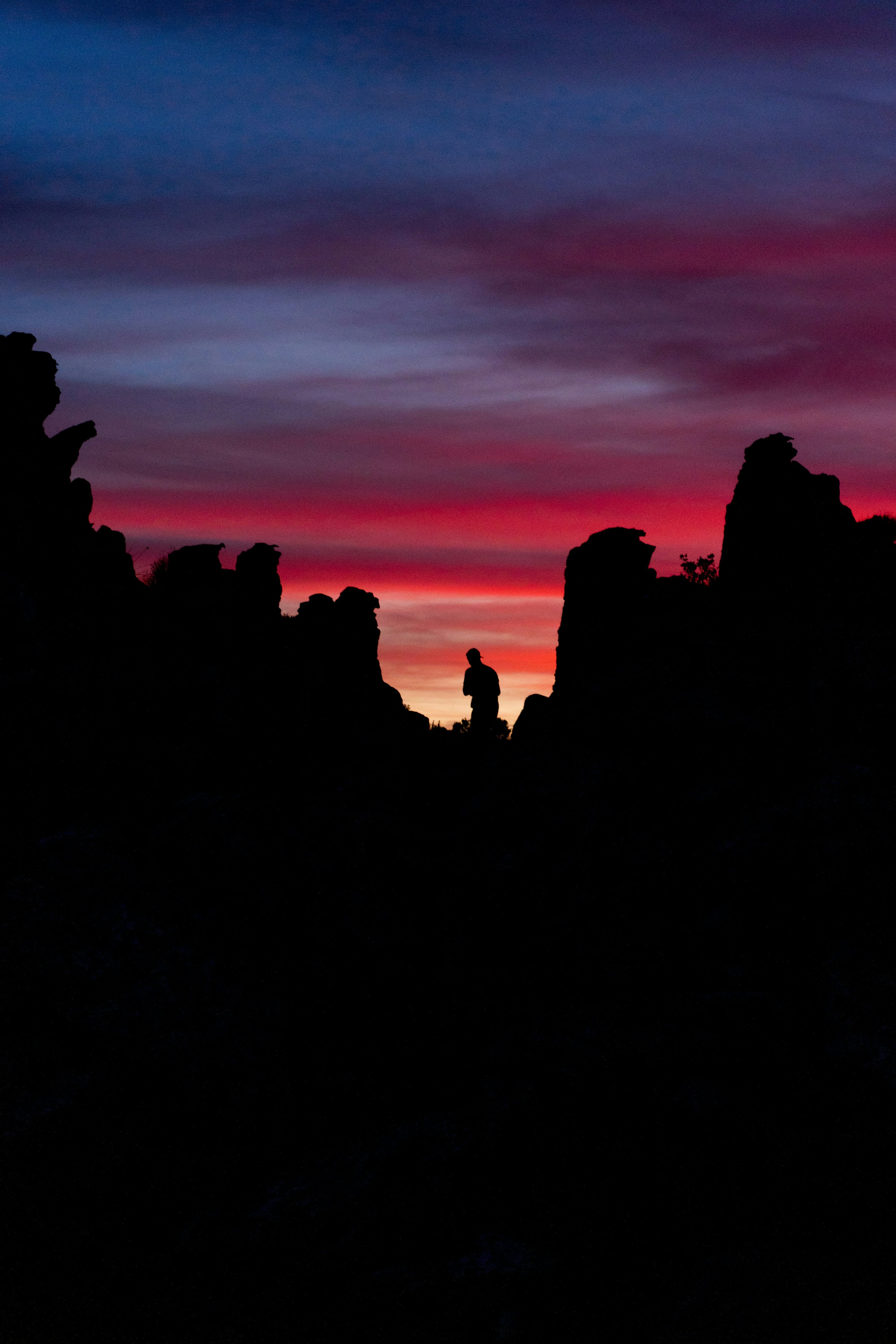 Survival: High Mountain Desert